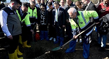 Bursa'da zeytin fidanları toprakla buluştu