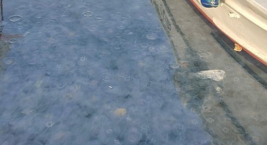 Deniz yüzeyini işgal ettiler