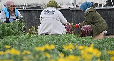 Manisa düşük su tüketimi olan bitkilerle güzelleştiriliyor