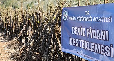 Muğla 'her kapıda bir fidan'la toprağa sahip çıkıyor
