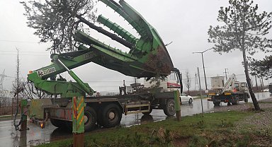 Sakarya Büyükşehir'den 'yeşil' hassasiyet