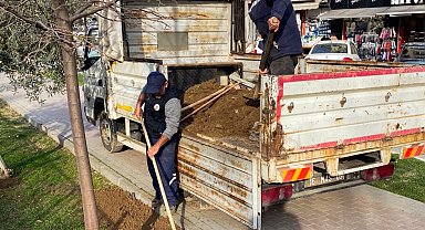 Bursa Gemlik'te çevre düzenleme çalışmaları devam ediyor