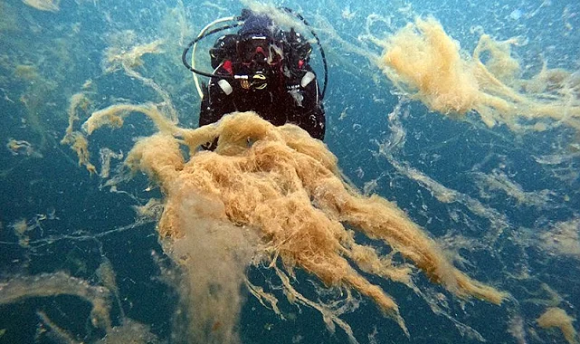 Büyükakın: Marmara Denizi 'Ben ölüyorum!' diyor