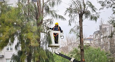 İzmir Bornova'da kışa hazırlık başladı