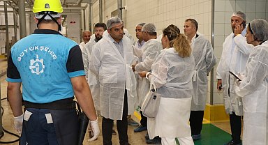 Kocaeli Büyükşehir Mezbahası'nda 6 bin 832 kesim yapıldı