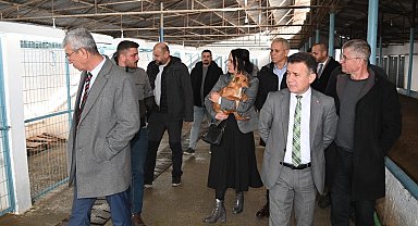 Manisa'da Sokak Hayvanları Komisyonu toplandı