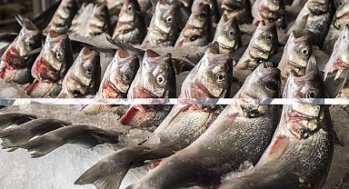 Su ürünleri ihracatı 2 milyar doları aştı... Levrek zirvedeki yerini korudu