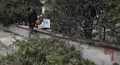 Bursa İnegöl'de ağaç budama çalışmaları sürüyor