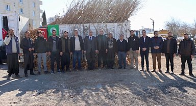 Çiftçilere yetişkin dut ağacı desteği