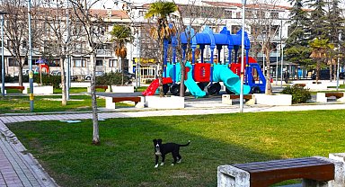 Gemlik'in parklarda çevresi değişiyor