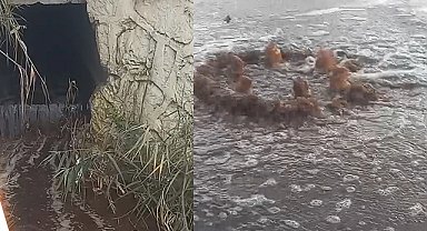 İzmir'e milyon liralık yeni bir atık su cezası daha!