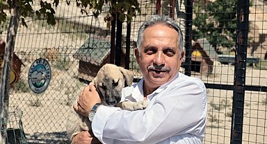 Kayseri Talas'ta sevimli patiler için çalışma