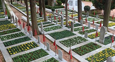 Kocaeli şehitliğinde çiçekler açtı