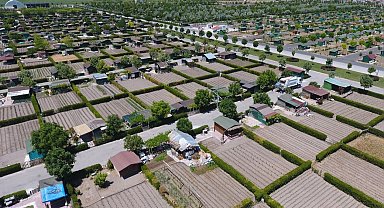 Konya Karatay'da hobi bahçeleri için kura zamanı