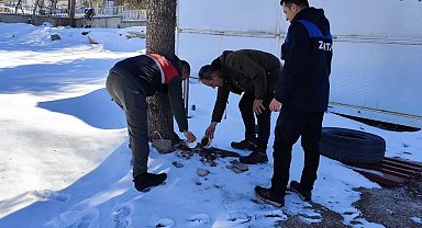 Malatya'da sokak hayvanları unutulmadı