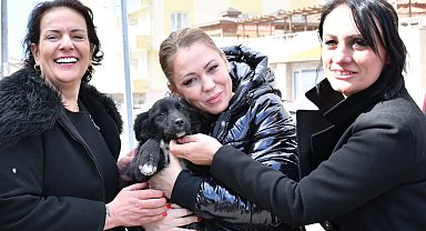 Manisa'da sokak hayvanları için ortak akıl