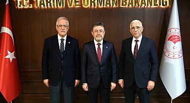 Marmarabirlik: Dane zeytine prim desteği kaldırılmamalı! Bakan Yumaklı'ya rapor sunuldu