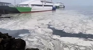 Marmara'nın çığlığına Bursa'dan ses oldular! Başkan Bozbey: Duymazdan gelemeyiz