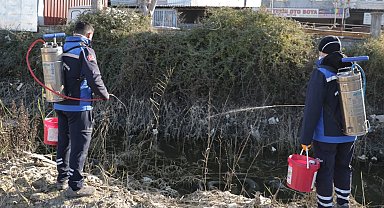 Muğla'da sivrisinek ile mücadele yıl boyunca devam ediyor