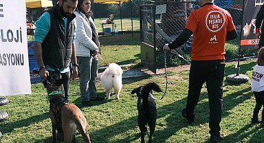 Türkiye'de ilk kez Köpekli Labirent Oryantiring yarışması yapıldı