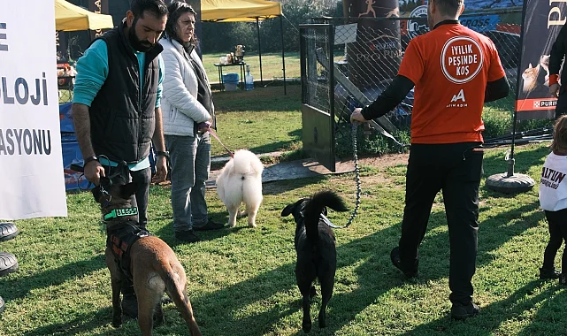 Türkiye'de ilk kez Köpekli Labirent Oryantiring yarışması yapıldı