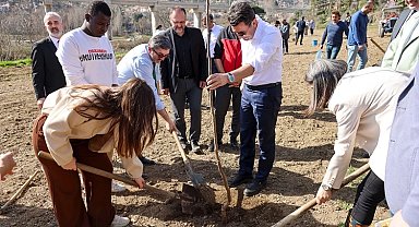 Bilecik Valisi üniversitelilerle fidan dikti