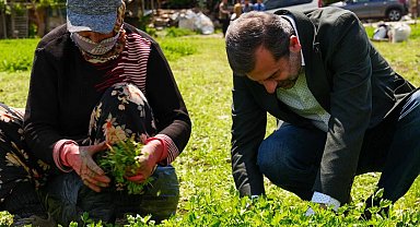 Bursa Gürsu'ya 'Altın' değerinde bir proje