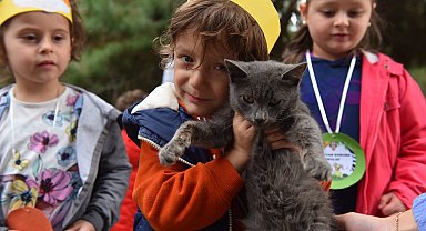 Bursa Yıldırım'da 625 patili dost sıcak yuvaya kavuştu