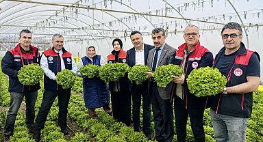 Bursa'da 'Yeşilliğe Özen Sofrada Güven' hasadı