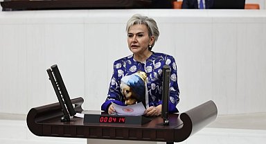 CHP'li Milletvekili Özdemir'den yeni kanun teklifi