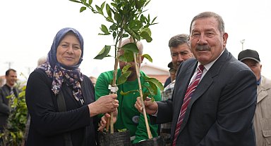 Muğla Milas'ta üreticilere fidan desteği sağlandı