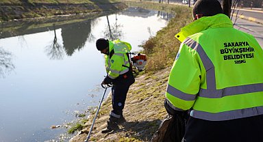 Sakarya'da Çark Deresi'nde bahar temizliği başladı