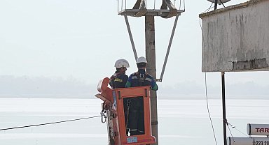 UEDAŞ elektrik direklerini can dostları için hazırladı