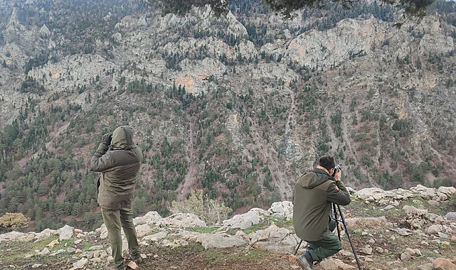 Antalya'da yasadışı avcılığa suçüstü!