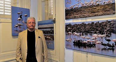Flamingo Adası Bornova'da sanatseverlerle buluştu