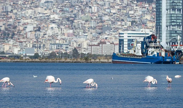 İzmir'in iklim krizi ile mücadelesi güçleniyor