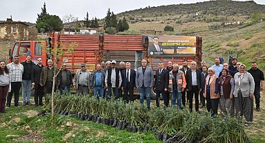 Mansia Büyükşehir yanan alanları yeşillendiriyor