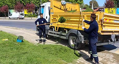 Yalova'da yeşil alan bakımı sürüyor
