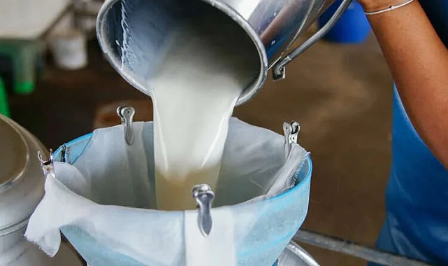 2024'te 22,5 milyon ton çiğ süt ürettik!