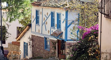 Bursa Mudanya'da 'Tirilye Zeytin Çiçeği Festivali'ne hazırlığı