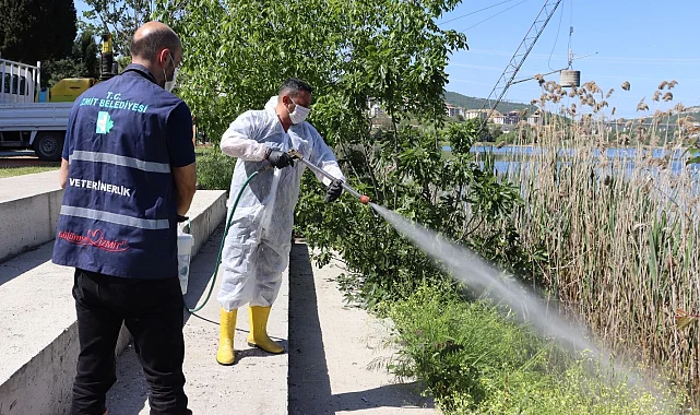 İzmit'te halk sağlığı için yoğun ilaçlama mesaisi