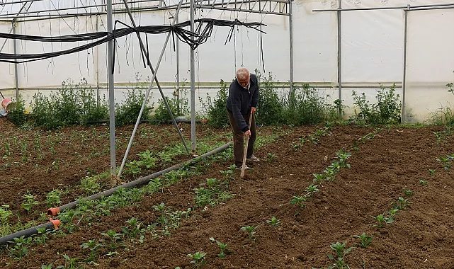 Kocaeli'nde üreticilere yüzde 50 hibeli modern sera desteği