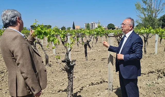 Manisa'da üreticilere genişletilmiş hibe desteği