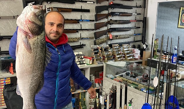 Türkeli'de 7,5 kiloluk dev levrek yakalandı