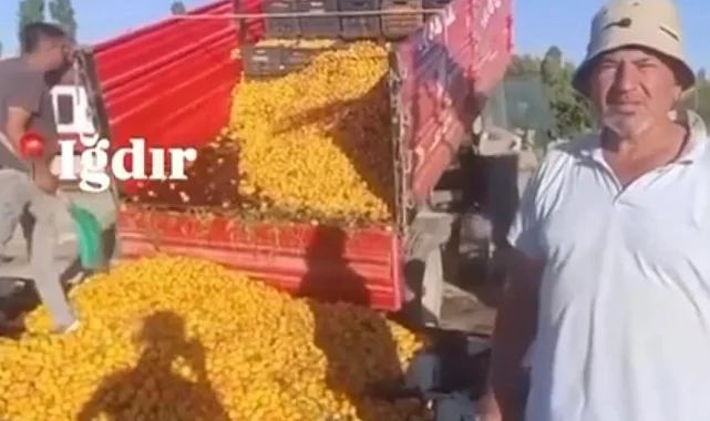 1 TL'lik kayısı paylaşımı 1,4 milyon TL cezaya patladı! Yanıltıcı paylaşıma milyon liralık ceza!