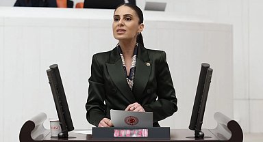 CHP'li Özcan'dan Dalaman Çayı uyarısı