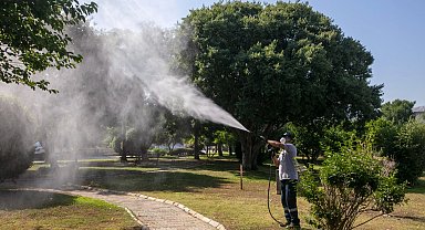 İzmir Güzelbahçe'de sezon ilaçlaması başladı