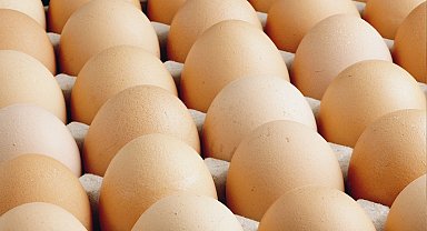 A sınıfı yumurtalarda 'tüketim tarihi' zorunluluğu... Türk Gıda Kodeksi Yumurta Tebliği'nde değişiklik