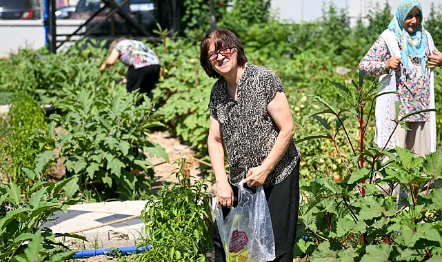 Bornova'da Kent Bostanları'nda hasat sevinci