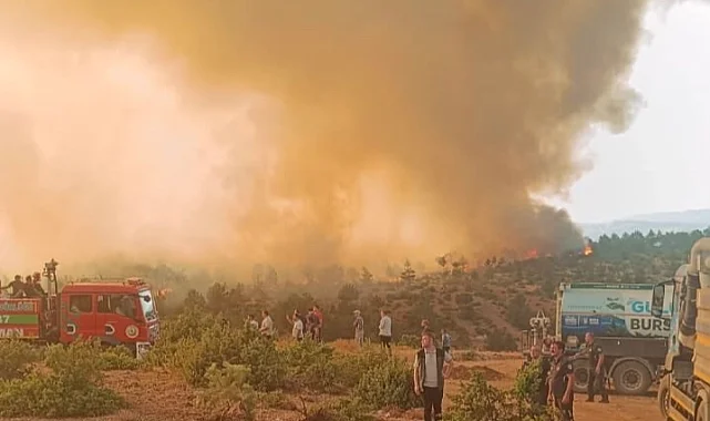 Bursa Harmancık'taki Çakmak köyü korundu!